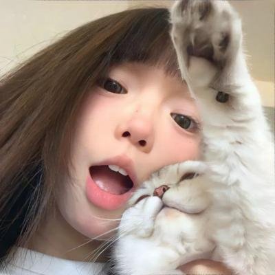 小狮王守护队:狮王再起